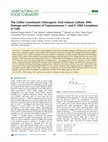 Research paper thumbnail of The Coffee Constituent Chlorogenic Acid Induces Cellular DNA Damage and Formation of Topoisomerase I– and II–DNA Complexes in Cells