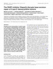 Research paper thumbnail of The PARP inhibitor Olaparib disrupts base excision repair of 5-aza-2′-deoxycytidine lesions