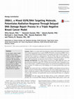 Research paper thumbnail of ZRBA1, a Mixed EGFR/DNA Targeting Molecule, Potentiates Radiation Response Through Delayed DNA Damage Repair Process in a Triple Negative Breast Cancer Model