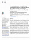 Research paper thumbnail of Target Modulation by a Kinase Inhibitor Engineered to Induce a Tandem Blockade of the Epidermal Growth Factor Receptor (EGFR) and c-Src: The Concept of Type III Combi-Targeting