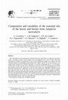 Research paper thumbnail of Composition and variability of the essential oils of the leaves and berries from Juniperus navicularis