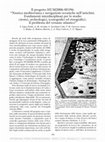 Research paper thumbnail of Il progetto HUM2006-05196:“Nautica mediterranea e navigazioni oceaniche nell'antichità. Fondamenti interdisciplinari per lo studio (storici, archeologici, …