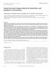 Research paper thumbnail of Enamel Structural Changes induced by Hydrochloric and Phosphoric Acid Treatment