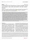 Research paper thumbnail of Carbohydrates from Pseudomonas aeruginosa biofilms interact with immune C-type lectins and interfere with their receptor function