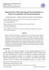 Research paper thumbnail of Magnetized Flow of Electrically Induced Maxwell Nanofluid over Reactive Stretching Plate with Thermal Stratification