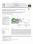 Research paper thumbnail of Distribution toxicity load and risk assessment of heavy metals in the groundwater of Dhemaji Assam India