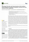 Research paper thumbnail of Phenotypic Diversity and Characterization of the Southern African Bambara Groundnut Germplasm Collection for Grain Yield and Yield Components