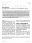 Research paper thumbnail of Ultrasound of acquired posterior fossa abnormalities in the newborn