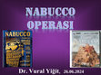 Research paper thumbnail of NABUCCO