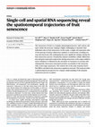 Research paper thumbnail of Single-cell and spatial RNA sequencing reveal the spatiotemporal trajectories of fruit senescence