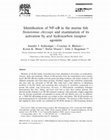 Research paper thumbnail of Identification of NF-κB in the marine fish Stenotomus chrysops and examination of its activation by aryl hydrocarbon receptor agonists