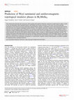 Research paper thumbnail of Prediction of Weyl semimetal, AFM topological insulator, nodal line semimetal, and Chern insulator phases in Bi2MnSe4