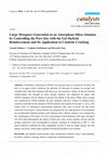 Research paper thumbnail of Large Mesopore Generation in an Amorphous Silica-Alumina by Controlling the Pore Size with the Gel Skeletal Reinforcement and Its Application to Catalytic Cracking