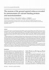 Research paper thumbnail of The neurons of the ground squirrel retina as revealed by immunostains for calcium binding proteins and neurotransmitters