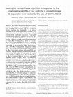 Research paper thumbnail of Neutrophil transepithelial migration in response to the chemoattractant fMLP but not C5a is phospholipase D-dependent and related to the use of CD11b/CD18