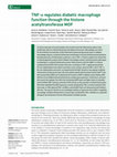 Research paper thumbnail of TNF-α regulates diabetic macrophage function through the histone acetyltransferase MOF