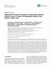 Research paper thumbnail of Sildenafil for Primary Prevention of Anthracycline-Induced Cardiac Toxicity: A Phase I/II Randomized Clinical Trial, SILDAT-TAHA6 Trial