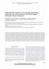 Research paper thumbnail of Experimental evidence of a sexually transmitted infection in a wild vertebrate, the black-legged kittiwake (Rissa tridactyla)