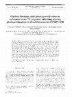 Research paper thumbnail of Carbon biomass, and gross growth rates as estimated from 14C pigment labelling, during photoacclimation in Prochlorococcus CCMP 1378