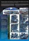 Research paper thumbnail of Poster: Progressive Monte-Carlo Rendering of Atmospheric Flow Features Across Scales