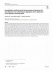 Research paper thumbnail of Immobilization and Biochemical Characterization of Keratinase 2S1 onto Magnetic Cross-Linked Enzyme Aggregates and its Application on the Hydrolysis of Keratin Waste