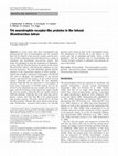 Research paper thumbnail of Trk neurotrophin receptor-like proteins in the teleost Dicentrarchus labrax