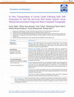 Research paper thumbnail of In Vitro Transportation of Curved Canals Following Glide Path Preparation by PathFile and Scout RaCe Rotary Systems Versus Manual Instrumentation Using Cone-Beam Computed Tomography