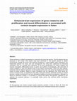 Research paper thumbnail of Enhanced brain expression of genes related to cell proliferation and neural differentiation is associated with cortisol receptor expression in fishes