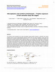 Research paper thumbnail of Microplastics and sorbed contaminants – Trophic exposure in fish sensitive early life stages