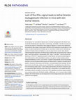 Research paper thumbnail of Lack of the IFN-γ signal leads to lethal Orientia tsutsugamushi infection in mice with skin eschar lesions