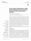 Research paper thumbnail of Scrub Typhus Pathogenesis: Innate Immune Response and Lung Injury During Orientia tsutsugamushi Infection