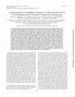 Research paper thumbnail of Leishmania pifanoi Amastigote Antigen P-4: Epitopes Involved in T-Cell Responsiveness in Human Cutaneous Leishmaniasis