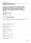 Research paper thumbnail of Erratum to: A new species of Caryospora Léger, 1904 (Apicomplexa: Eimeriidae) from the endangered Round Island boa Casarea dussumieri (Schlegel) (Serpentes: Bolyeridae) of Round Island, Mauritius: an endangered parasite?