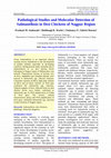 Research paper thumbnail of Pathological Studies and Molecular Detection of Salmonellosis in Desi Chickens of Nagpur Region