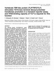 Research paper thumbnail of Vertebrate TBP-like protein (TLP/TRF2/TLF) stimulates TATA-less terminal deoxynucleotidyl transferase promoters in a transient reporter assay, and TFIIA-binding capacity of TLP is required for this function