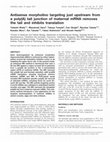 Research paper thumbnail of Antisense morpholino targeting just upstream from a poly(A) tail junction of maternal mRNA removes the tail and inhibits translation