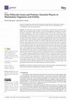 Research paper thumbnail of Zona Pellucida Genes and Proteins: Essential Players in Mammalian Oogenesis and Fertility