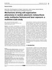 Research paper thumbnail of Mechanisms driving self-organization phenomena in random plasmonic metasurfaces under multipulse femtosecond laser exposure: a multitime scale study