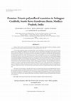 Research paper thumbnail of Permian-Triassic palynofloral transition in Sohagpur Coalfield, South Rewa Gondwana Basin, Madhya Pradesh, India