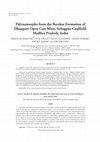 Research paper thumbnail of Palynomorphs from the Barakar Formation of Dhanpuri Open Cast Mine, Sohagpur Coalfield, Madhya Pradesh, India