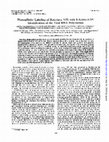 Research paper thumbnail of Photoaffinity labeling of rotavirus VP1 with 8-azido-ATP: identification of the viral RNA polymerase