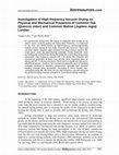 Research paper thumbnail of Investigation of high-frequency vacuum drying on physical and mechanical properties of common oak (Quercus robur) and common walnut (Juglans regia) lumber