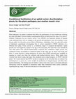 Research paper thumbnail of Conditional Facilitation of an Aphid Vector,<i>Acyrthosiphon pisum</i>, by the Plant Pathogen,<i>Pea Enation Mosaic Virus</i>