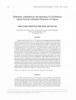 Research paper thumbnail of Taphonomy, sedimentology and chronology of a fossiliferous outcrop from the continental Pleistocene of Uruguay