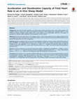 Research paper thumbnail of Acceleration and deceleration capacity of fetal heart rate in an in-vivo sheep model