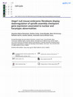 Research paper thumbnail of Hmga1null mouse embryonic fibroblasts display downregulation of spindle assembly checkpoint gene expression associated to nuclear and karyotypic abnormalities