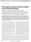 Research paper thumbnail of The amphioxus genome and the evolution of the chordate karyotype