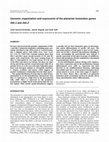 Research paper thumbnail of Genomic organization and expression of the planarian homeobox genes <i>Dth-1</i> and <i>Dth-2</i>