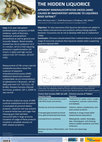 Research paper thumbnail of The hidden liquorice: apparent mineralocorticoid excess caused by inadvertent exposure to liquorice root extract