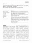 Research paper thumbnail of Molecular analysis ofMalasseziaspecies isolated from Israeli patients with pityriasis versicolor